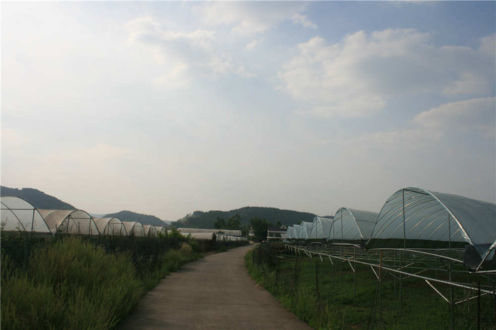 廠房展示