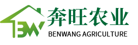 溫室大棚廠(chǎng)家_養(yǎng)殖大棚_玻璃溫室_蔬菜_大棚鋼架_簡(jiǎn)易_連棟-成都奔旺農(nóng)業(yè)科技有限公司